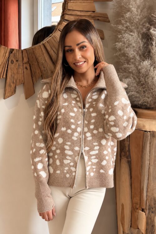 Pull « BAMBI »